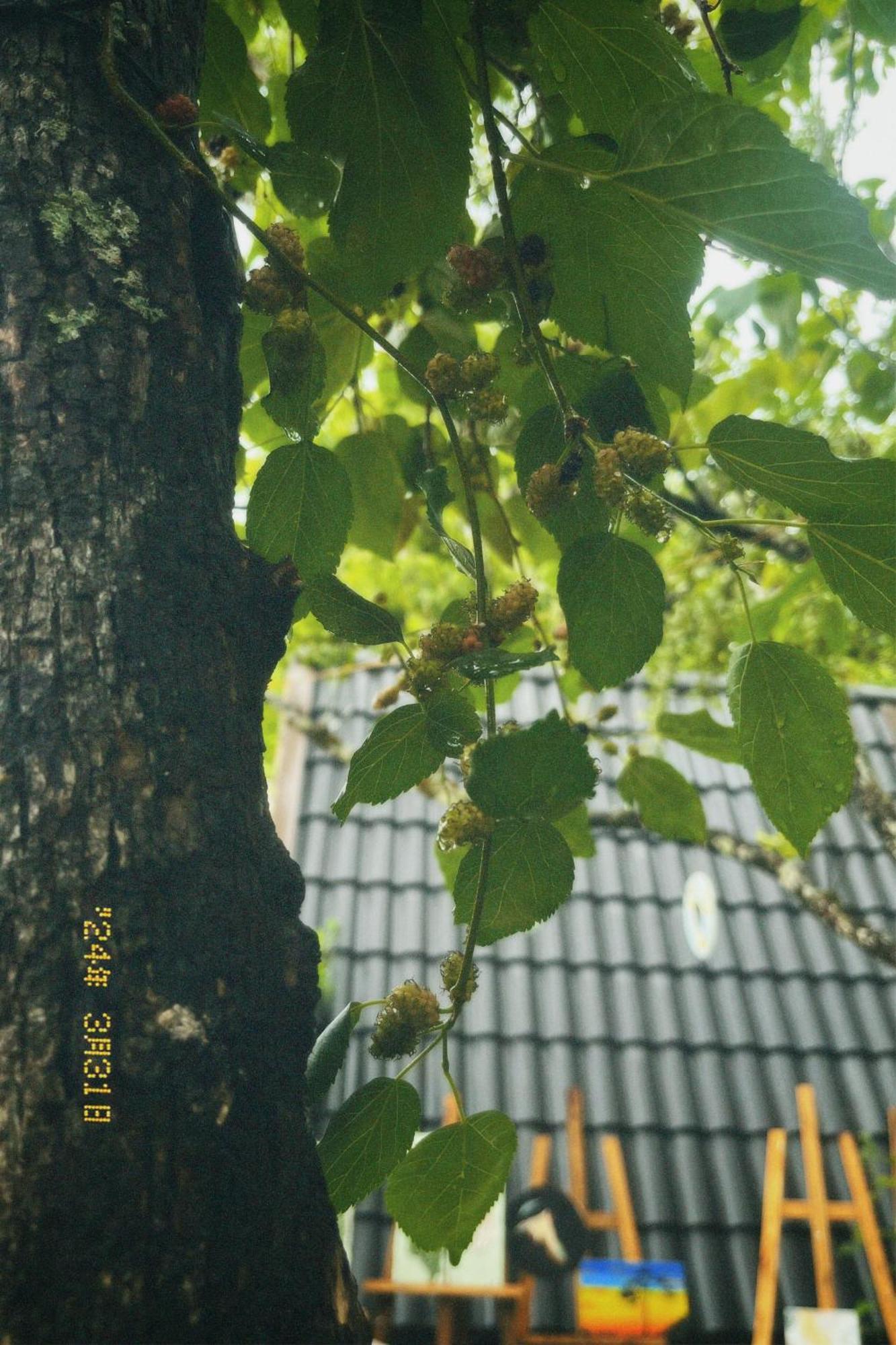 Nap Da Lat公寓 外观 照片