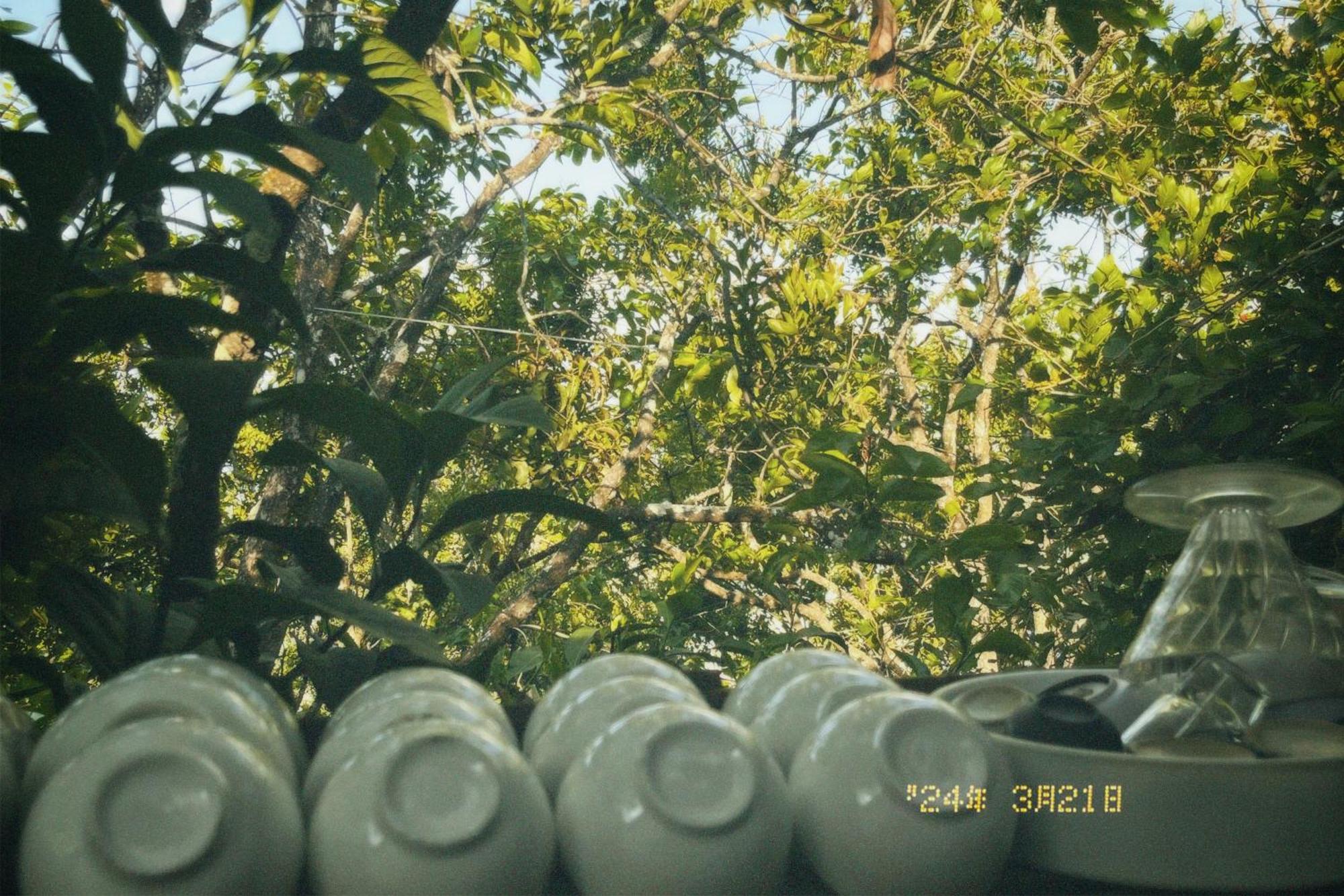 Nap Da Lat公寓 外观 照片