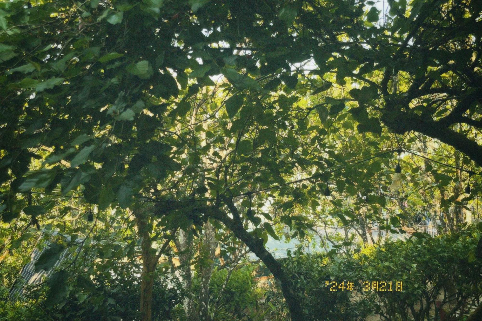 Nap Da Lat公寓 外观 照片
